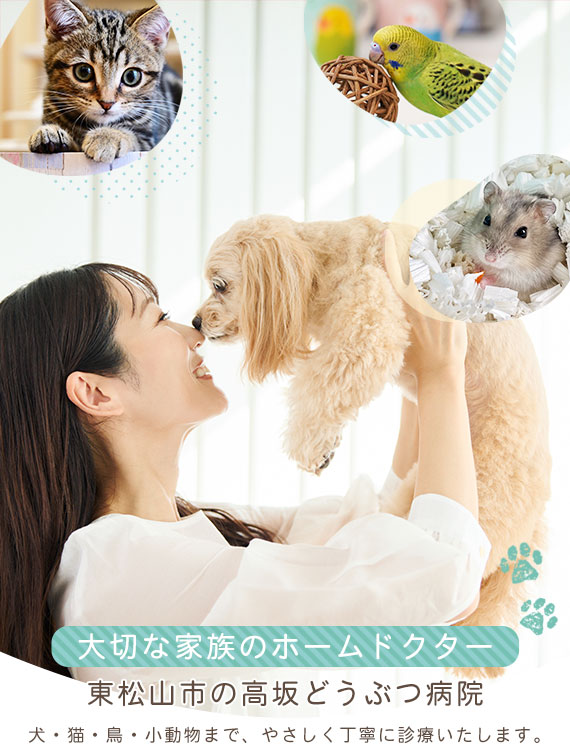 大切な家族のホームドクター 東松山市の高坂どうぶつ病院 犬・猫・鳥・小動物まで、やさしく丁寧に診療いたします。