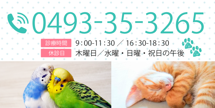 ご予約・お問い合わせはこちら 0493-35-3265